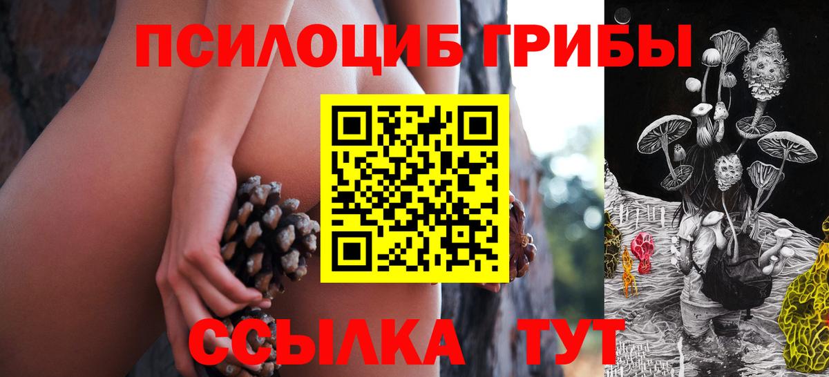 Псилоцибиновые грибы Psilocybe Керчь